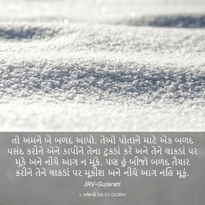 Picture 03 - 1 રાજાઓ 18:23 GUJIRV - તો અમને બે બળદ આપો. - Bible Verse Picture