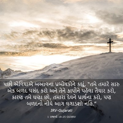 Picture 03 - 1 રાજાઓ 18:25 GUJIRV - પછી એલિયાએ બઆલના - Bible Verse Picture