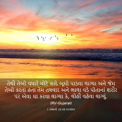 Picture 03 - 1 રાજાઓ 18:28 GUJIRV - તેથી તેઓ વધારે - Bible Verse Picture