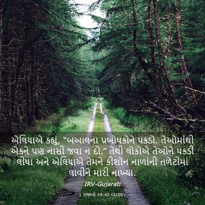Picture 03 - 1 રાજાઓ 18:40 GUJIRV - એલિયાએ કહ્યું, - Bible Verse Picture
