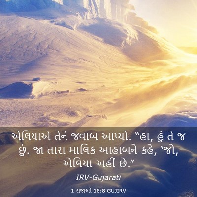Picture 03 - 1 રાજાઓ 18:8 GUJIRV - એલિયાએ તેને જવાબ - Bible Verse Picture