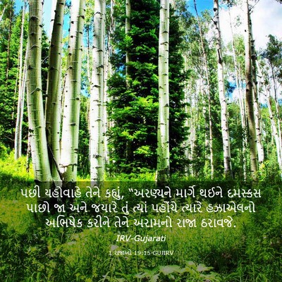 Picture 03 - 1 રાજાઓ 19:15 GUJIRV - પછી યહોવાહે તેને - Bible Verse Picture