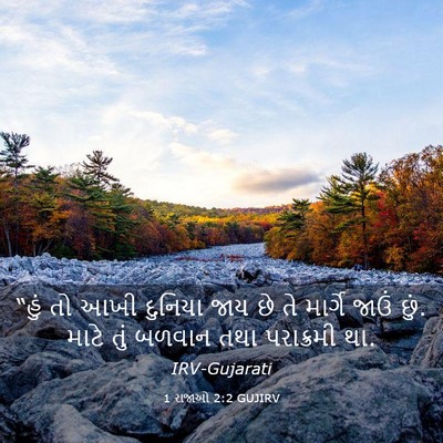 Picture 03 - 1 રાજાઓ 2:2 GUJIRV - “હું તો આખી દુનિયા - Bible Verse Picture