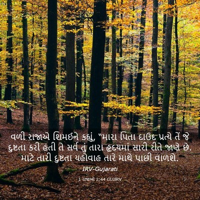 Picture 03 - 1 રાજાઓ 2:44 GUJIRV - વળી રાજાએ શિમઈને - Bible Verse Picture