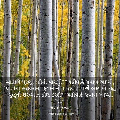 Picture 03 - 1 રાજાઓ 20:14 GUJIRV - આહાબે પૂછ્યું, - Bible Verse Picture