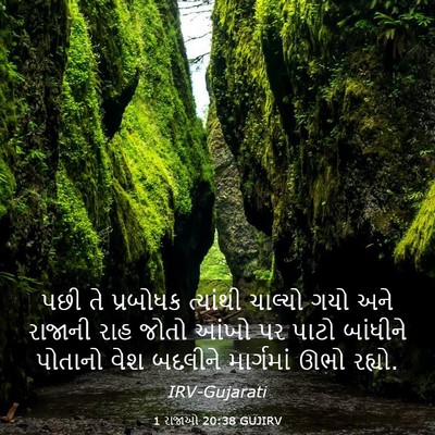 Picture 03 - 1 રાજાઓ 20:38 GUJIRV - પછી તે પ્રબોધક - Bible Verse Picture