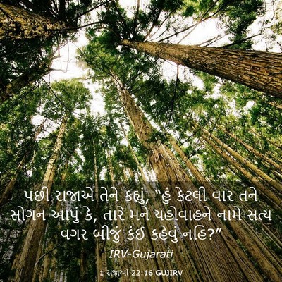 Picture 03 - 1 રાજાઓ 22:16 GUJIRV - પછી રાજાએ તેને - Bible Verse Picture