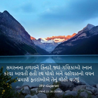 Picture 03 - 1 રાજાઓ 22:38 GUJIRV - સમરુનના તળાવને - Bible Verse Picture