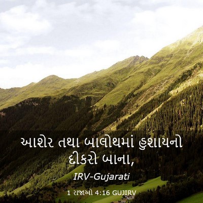 Picture 03 - 1 રાજાઓ 4:16 GUJIRV - આશેર તથા બાલોથમાં - Bible Verse Picture