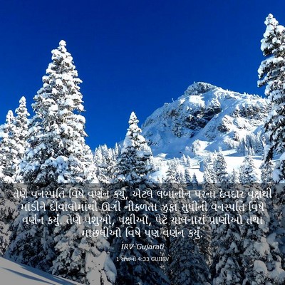 Picture 03 - 1 રાજાઓ 4:33 GUJIRV - તેણે વનસ્પતિ વિષે - Bible Verse Picture