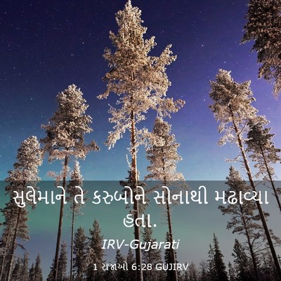Picture 03 - 1 રાજાઓ 6:28 GUJIRV - સુલેમાને તે - Bible Verse Picture