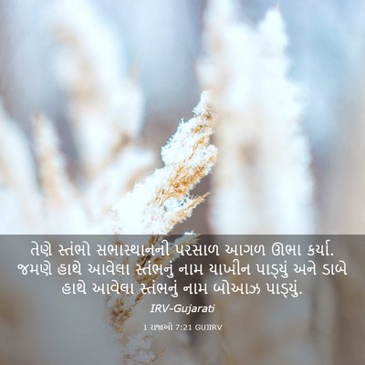 Picture 03 - 1 રાજાઓ 7:21 GUJIRV - તેણે સ્તંભો - Bible Verse Picture
