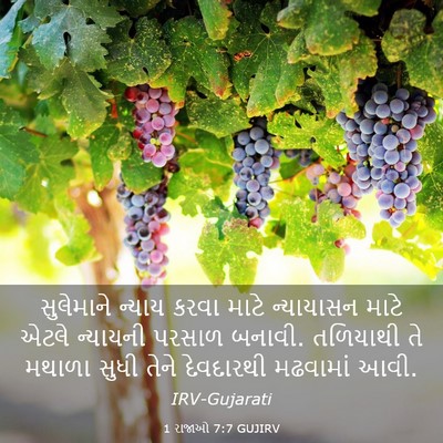 Picture 03 - 1 રાજાઓ 7:7 GUJIRV - સુલેમાને ન્યાય - Bible Verse Picture