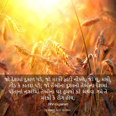 Picture 03 - 1 રાજાઓ 8:37 GUJIRV - જો દેશમાં દુકાળ - Bible Verse Picture