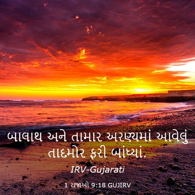 Picture 03 - 1 રાજાઓ 9:18 GUJIRV - બાલાથ અને તામાર - Bible Verse Picture