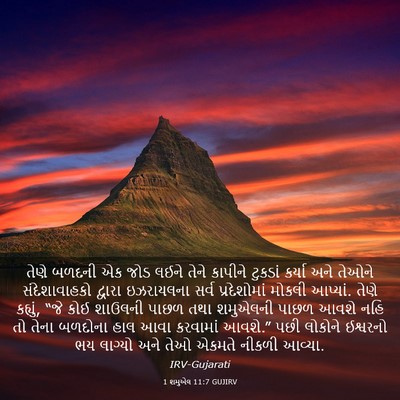 Picture 03 - 1 શમુએલ 11:7 GUJIRV - તેણે બળદની એક જોડ - Bible Verse Picture