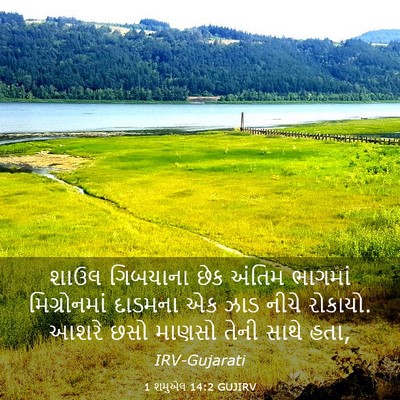 Picture 03 - 1 શમુએલ 14:2 GUJIRV - શાઉલ ગિબયાના છેક - Bible Verse Picture