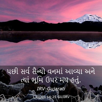 Picture 03 - 1 શમુએલ 14:25 GUJIRV - પછી સર્વ સૈન્યો - Bible Verse Picture