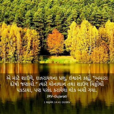Picture 03 - 1 શમુએલ 14:41 GUJIRV - એ માટે શાઉલે, - Bible Verse Picture
