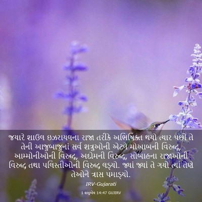 Picture 03 - 1 શમુએલ 14:47 GUJIRV - જયારે શાઉલ - Bible Verse Picture