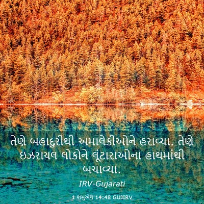 Picture 03 - 1 શમુએલ 14:48 GUJIRV - તેણે બહાદુરીથી - Bible Verse Picture