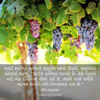Picture 03 - 1 શમુએલ 15:12 GUJIRV - સવારે શાઉલને - Bible Verse Picture