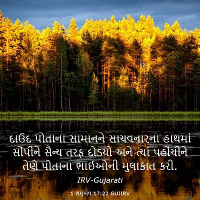 Picture 03 - 1 શમુએલ 17:22 GUJIRV - દાઉદ પોતાના - Bible Verse Picture