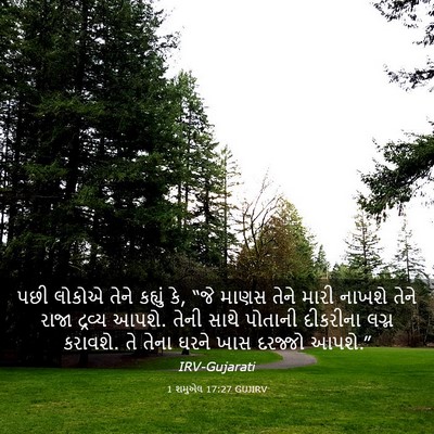Picture 03 - 1 શમુએલ 17:27 GUJIRV - પછી લોકોએ તેને - Bible Verse Picture