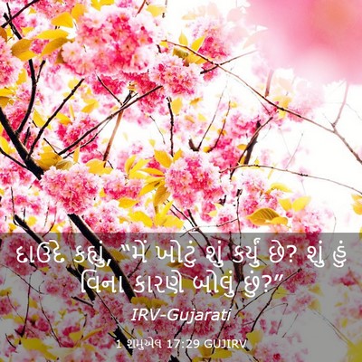 Picture 03 - 1 શમુએલ 17:29 GUJIRV - દાઉદે કહ્યું, “મેં - Bible Verse Picture