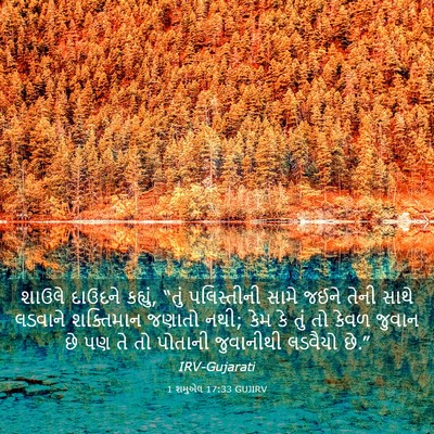 Picture 03 - 1 શમુએલ 17:33 GUJIRV - શાઉલે દાઉદને - Bible Verse Picture
