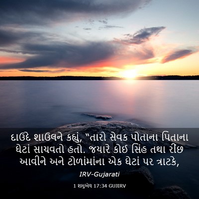 Picture 03 - 1 શમુએલ 17:34 GUJIRV - દાઉદે શાઉલને - Bible Verse Picture