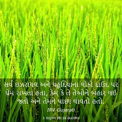 Picture 03 - 1 શમુએલ 18:16 GUJIRV - સર્વ ઇઝરાયલ અને - Bible Verse Picture