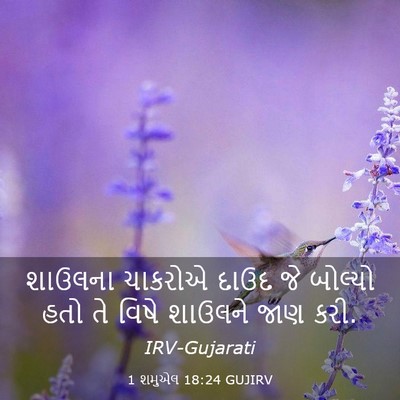 Picture 03 - 1 શમુએલ 18:24 GUJIRV - શાઉલના ચાકરોએ - Bible Verse Picture