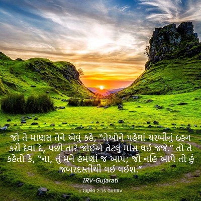 Picture 03 - 1 શમુએલ 2:16 GUJIRV - જો તે માણસ તેને - Bible Verse Picture