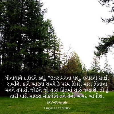 Picture 03 - 1 શમુએલ 20:12 GUJIRV - યોનાથાને દાઉદને - Bible Verse Picture