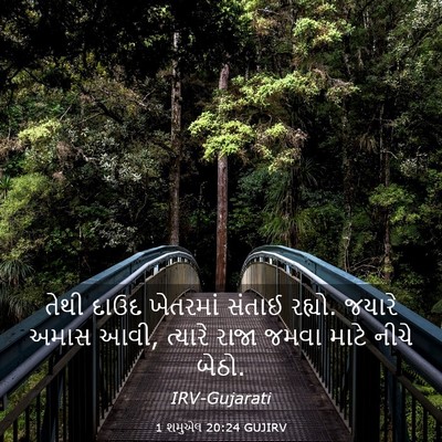Picture 03 - 1 શમુએલ 20:24 GUJIRV - તેથી દાઉદ ખેતરમાં - Bible Verse Picture