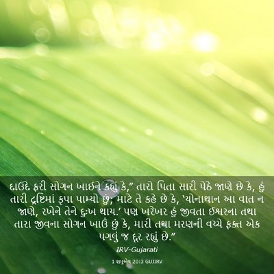 Picture 03 - 1 શમુએલ 20:3 GUJIRV - દાઉદે ફરી સોગન - Bible Verse Picture