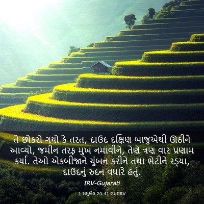 Picture 03 - 1 શમુએલ 20:41 GUJIRV - તે છોકરો ગયો કે - Bible Verse Picture