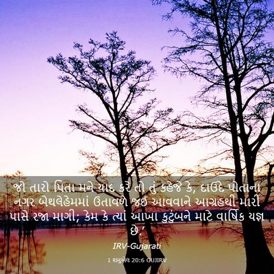 Picture 03 - 1 શમુએલ 20:6 GUJIRV - જો તારો પિતા મને - Bible Verse Picture