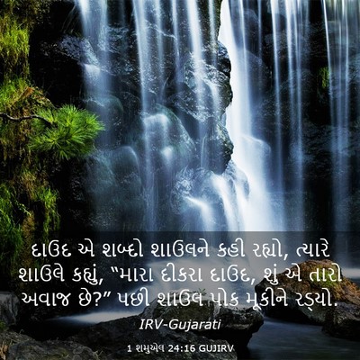 Picture 03 - 1 શમુએલ 24:16 GUJIRV - દાઉદ એ શબ્દો - Bible Verse Picture