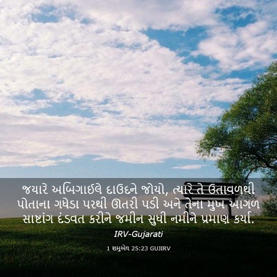 Picture 03 - 1 શમુએલ 25:23 GUJIRV - જયારે અબિગાઈલે - Bible Verse Picture