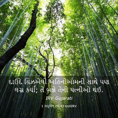 Picture 03 - 1 શમુએલ 25:43 GUJIRV - દાઉદે યિઝ્રએલી - Bible Verse Picture