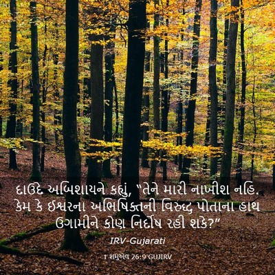 Picture 03 - 1 શમુએલ 26:9 GUJIRV - દાઉદે અબિશાયને - Bible Verse Picture