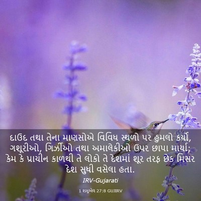 Picture 03 - 1 શમુએલ 27:8 GUJIRV - દાઉદ તથા તેના - Bible Verse Picture