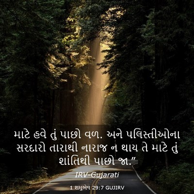 Picture 03 - 1 શમુએલ 29:7 GUJIRV - માટે હવે તું પાછો - Bible Verse Picture