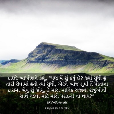 Picture 03 - 1 શમુએલ 29:8 GUJIRV - દાઉદે આખીશને - Bible Verse Picture