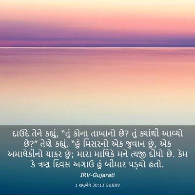 Picture 03 - 1 શમુએલ 30:13 GUJIRV - દાઉદે તેને કહ્યું, - Bible Verse Picture