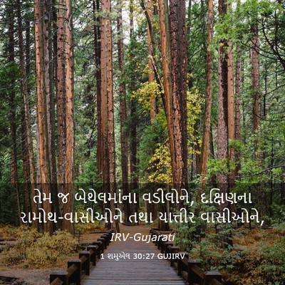 Picture 03 - 1 શમુએલ 30:27 GUJIRV - તેમ જ બેથેલમાંના - Bible Verse Picture