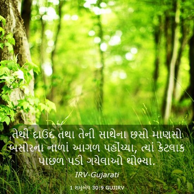 Picture 03 - 1 શમુએલ 30:9 GUJIRV - તેથી દાઉદ તથા તેની - Bible Verse Picture
