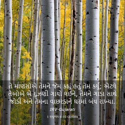 Picture 03 - 1 શમુએલ 6:10 GUJIRV - તે માણસોએ તેમને - Bible Verse Picture